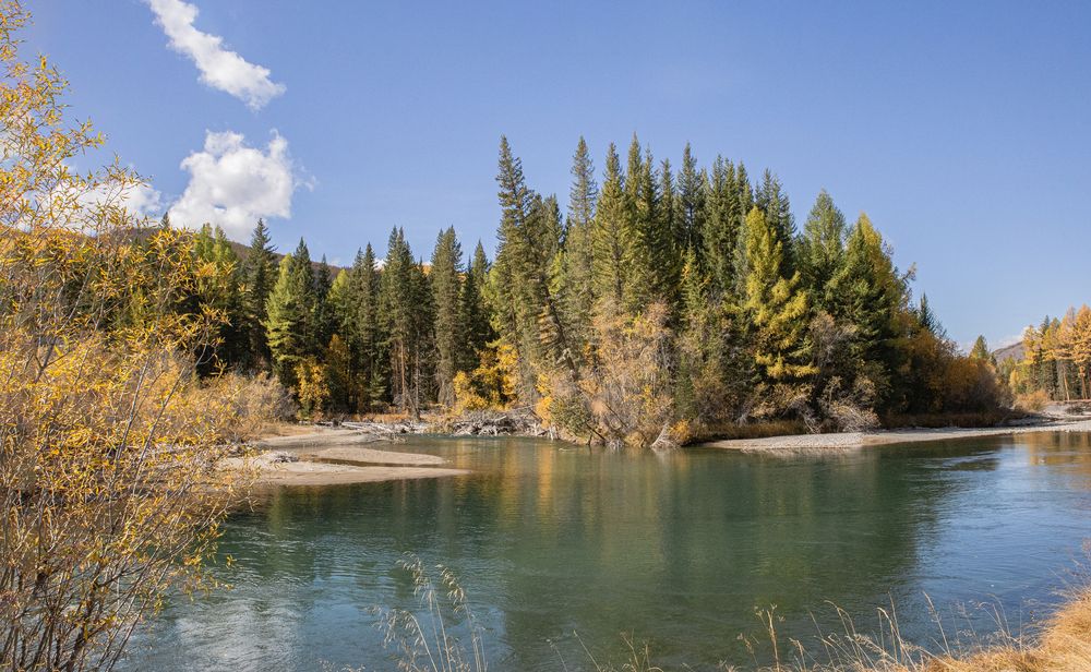 Фотография автора Елена Павлова