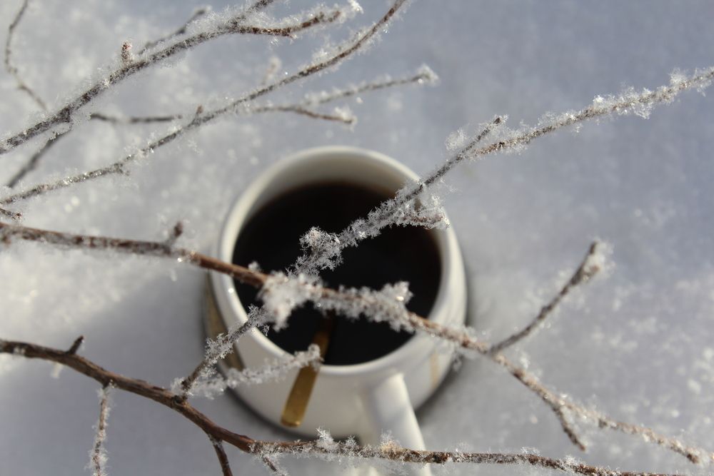 Photograph by Юлия