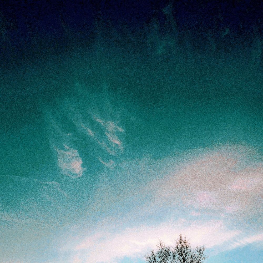 Photograph by Александра Куроедова