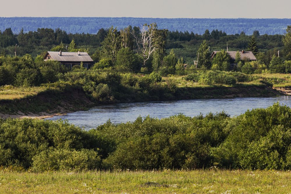 Фотография автора Ирина Гриценко