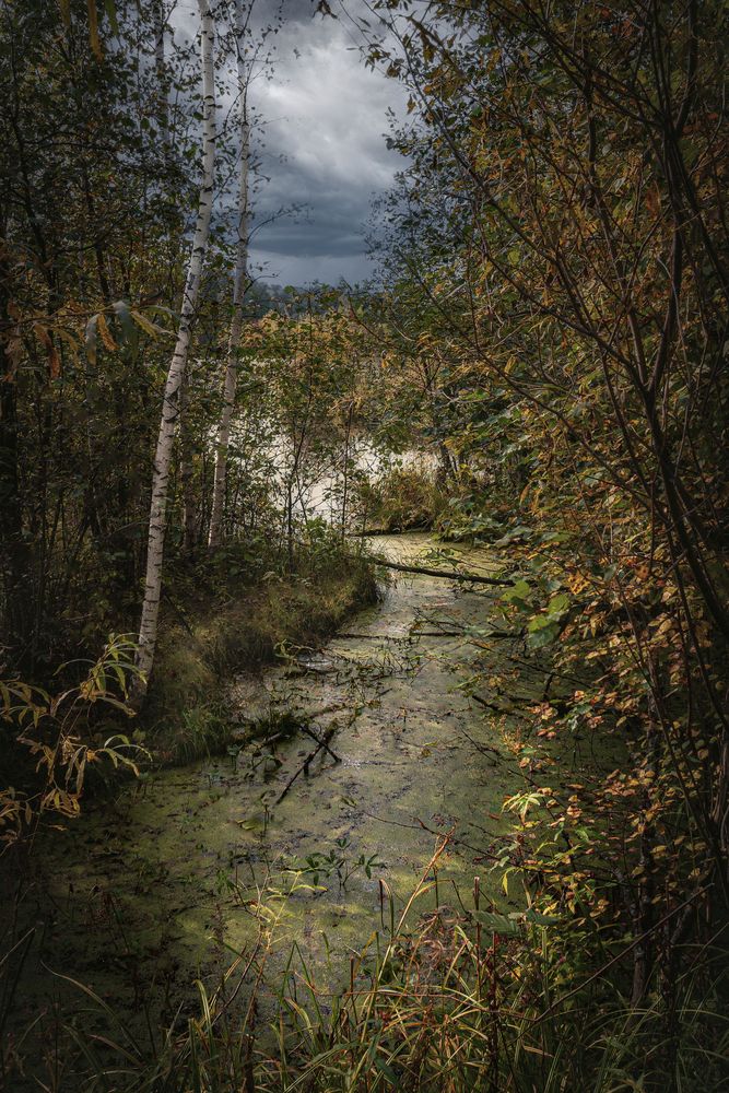 Photograph by Леонид Жуков