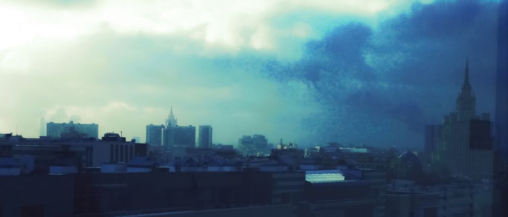 Photograph by Александра Куроедова