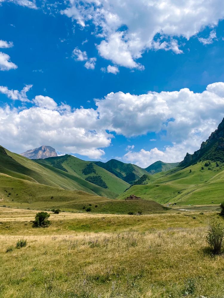 Фотография автора Дарья Андреева
