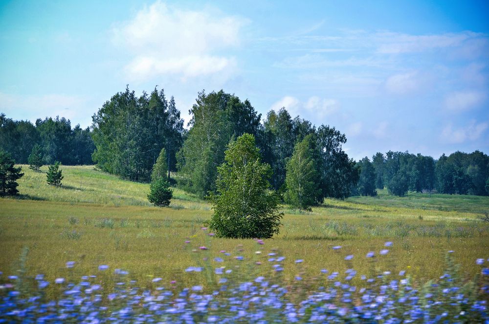 Из окна авто