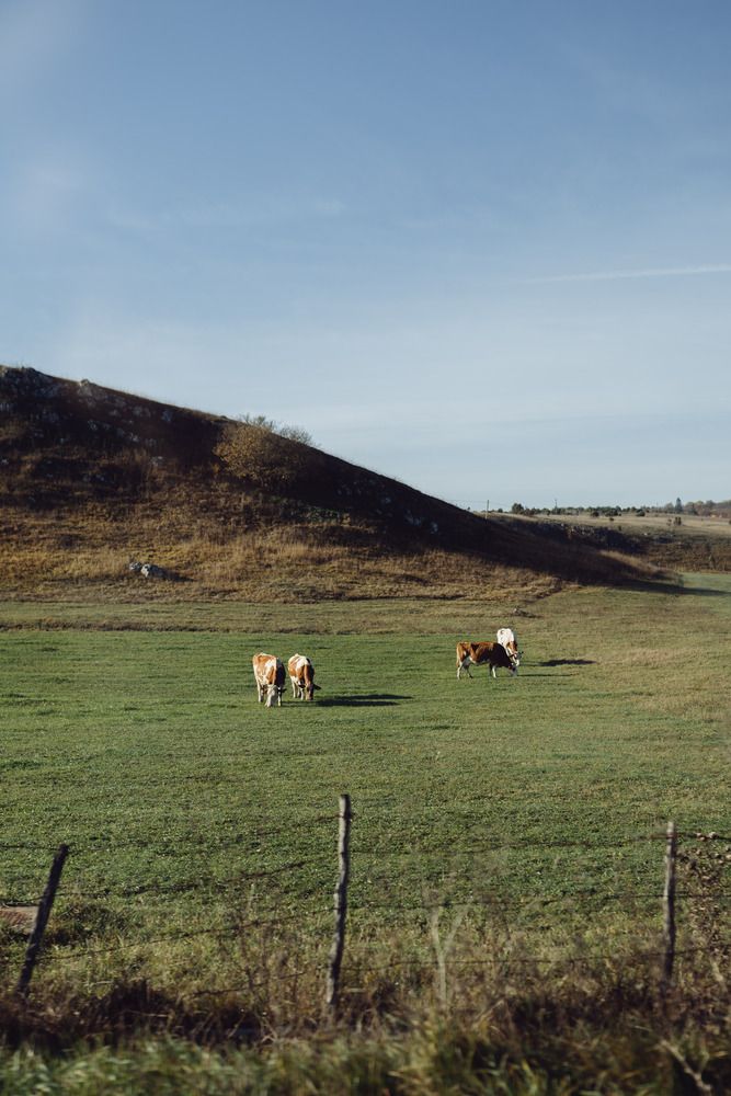 Photograph by Левичев Валетнин