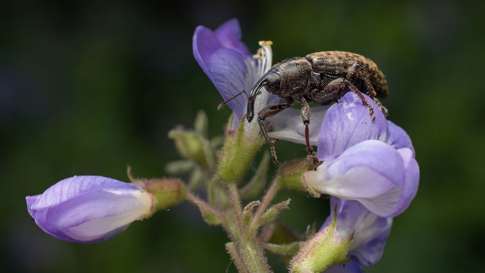 Photograph by Железнова Людмила
