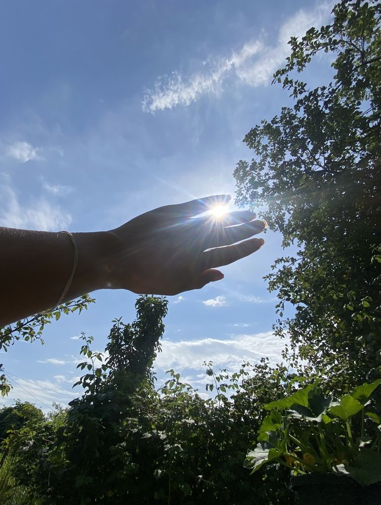 Летний день