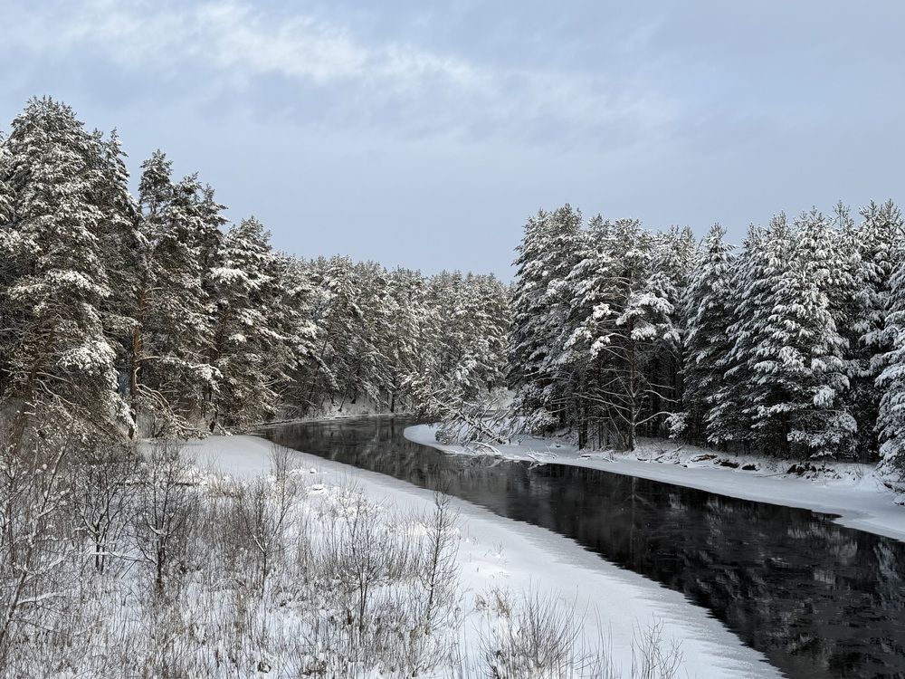 Photograph by Галина Беляева