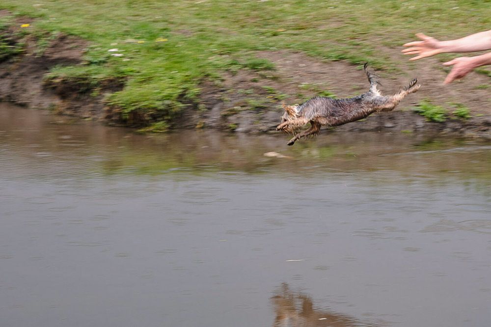 Photograph by Ирина Яук