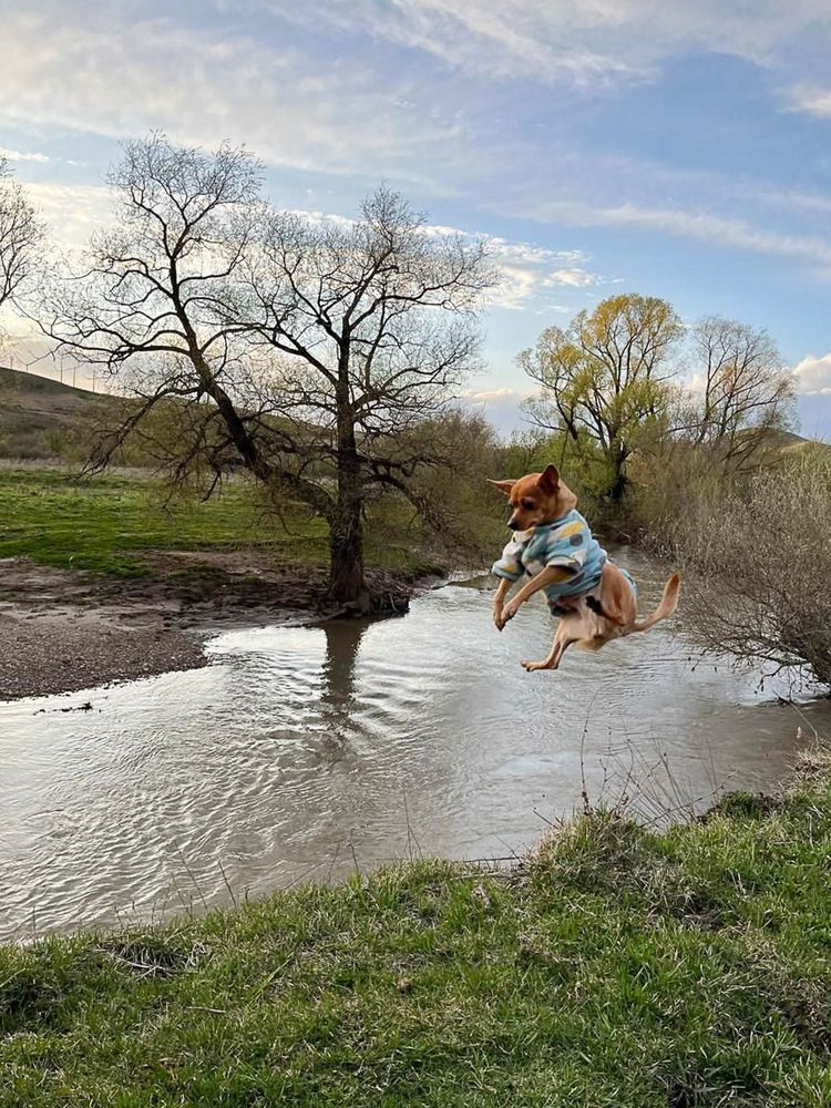 Photograph by Ирина Яук