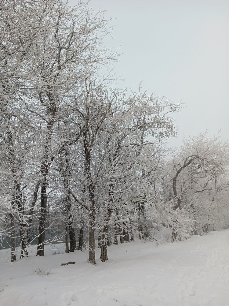 Photo #13208244
