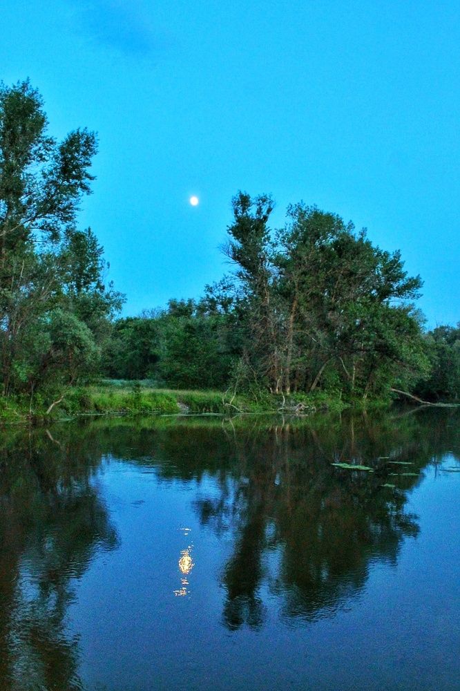 Photograph by Елизавета Бордюгова