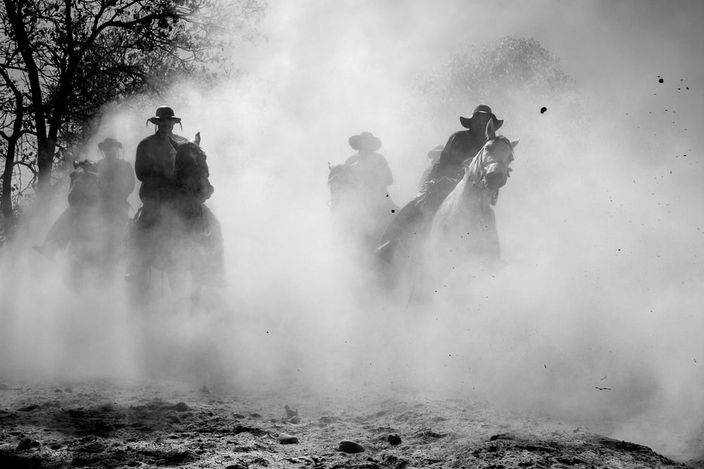 Photograph by FLAVIO SOUZA CRUZ