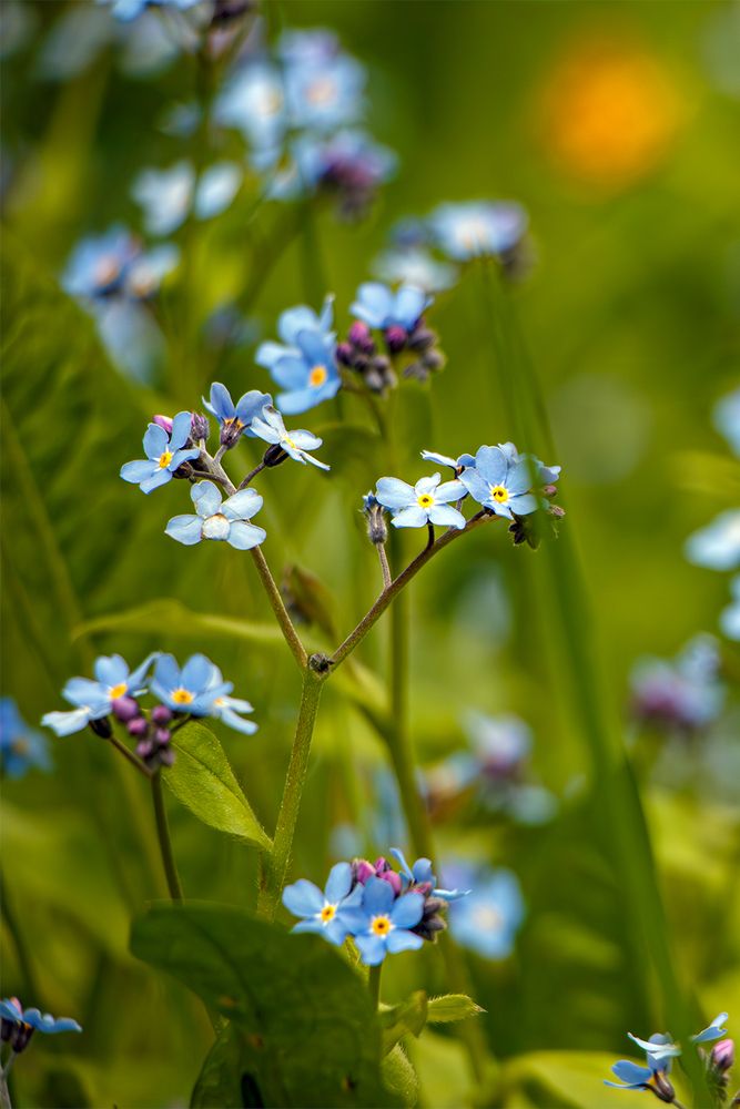 Photograph by Надежда Хрусталёва