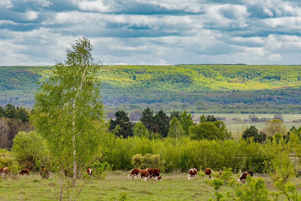 Photograph by Юрий Викулин