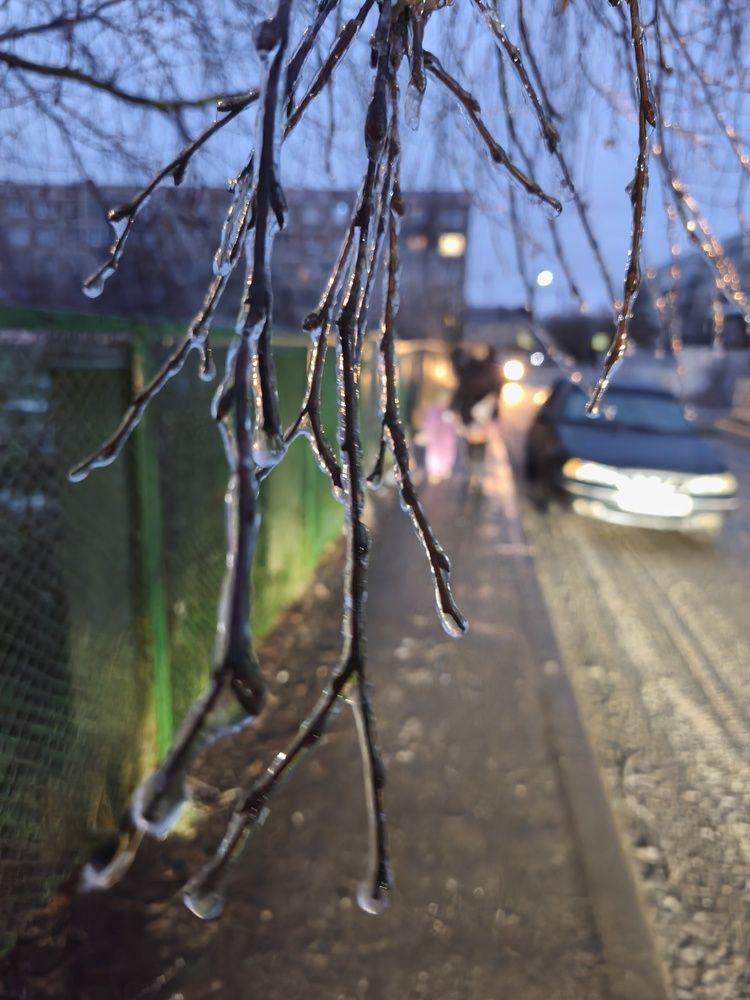 Photograph by Марина Опарина