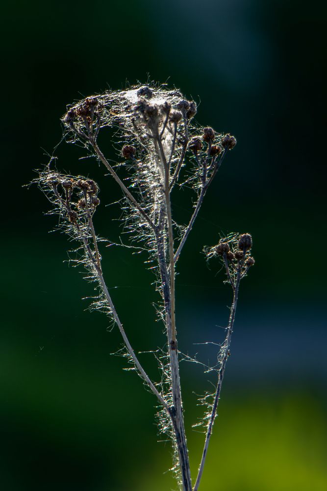 Photograph by Игорь Хрусталёв