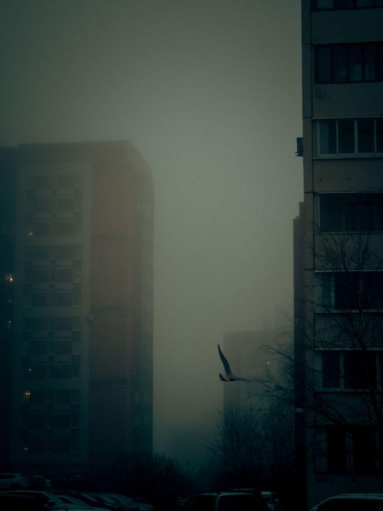 Фотография автора Анна Ворончихина