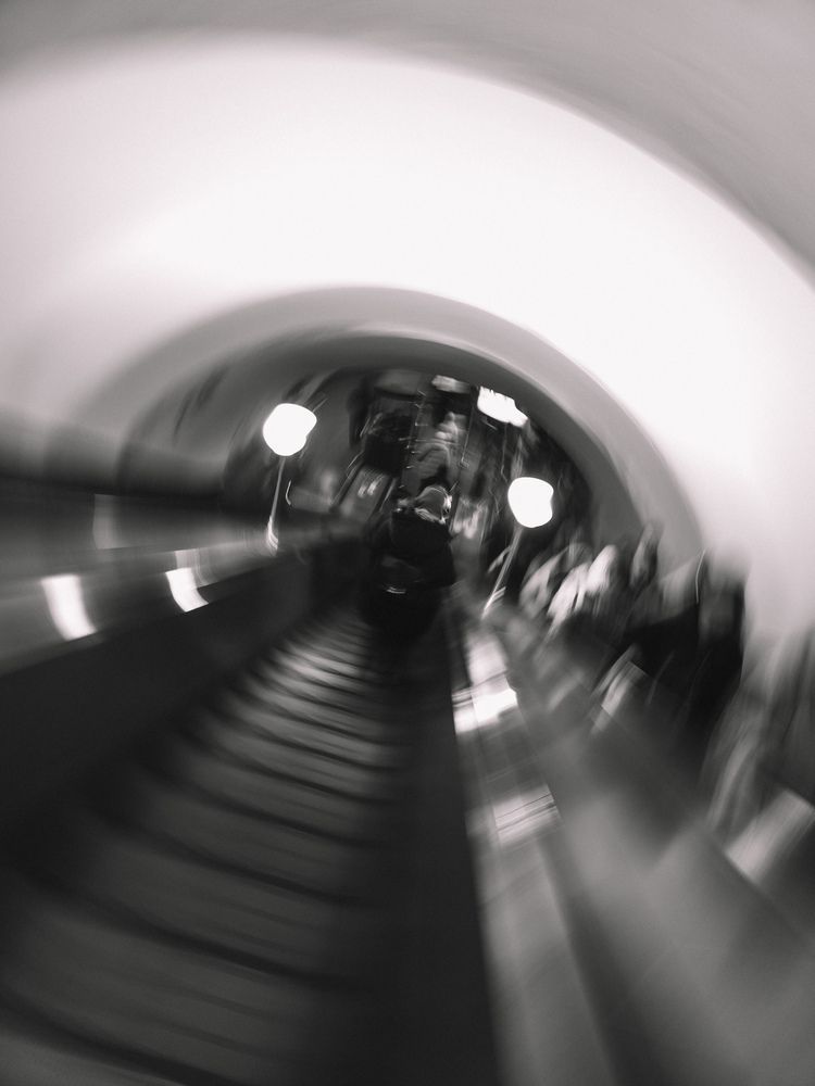 Фотография автора Анна Ворончихина