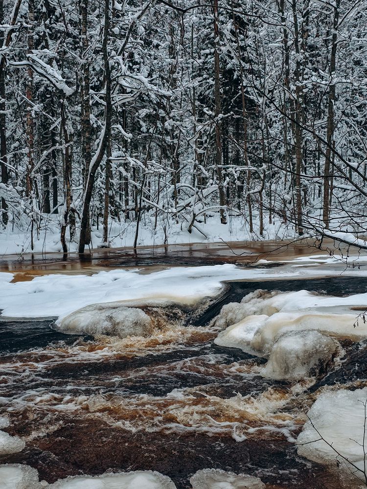 Фотография автора Анна Ворончихина