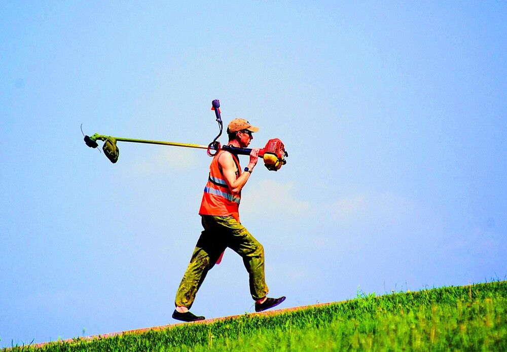 Photograph by Михаил Обертаев