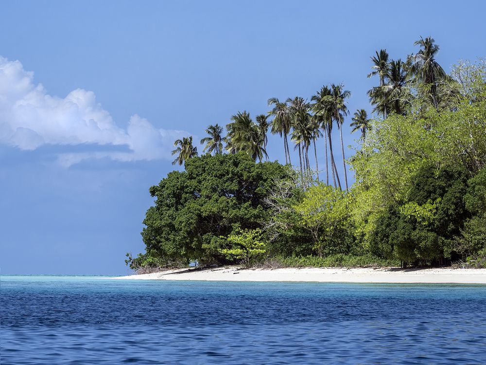 Photograph by Минаева Вера