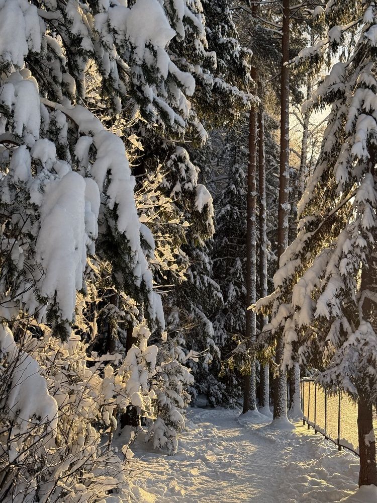 Photograph by Юлия Белоногая