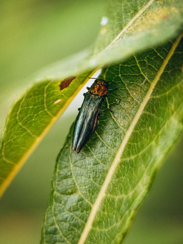 Photograph by Марина Харитонова