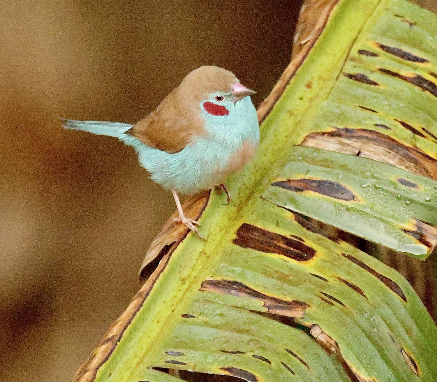 Фотография #13208447