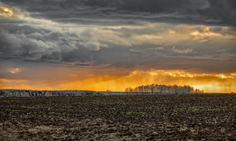 Photograph by Александр Сальников