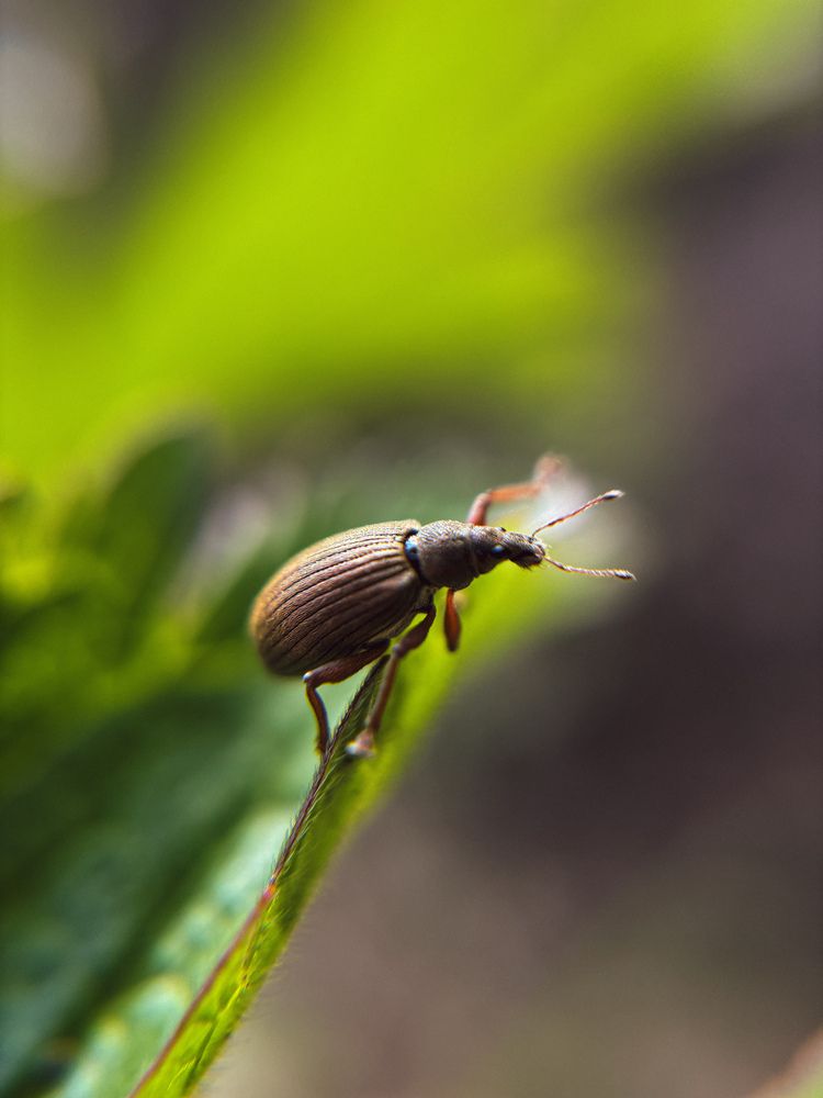 Photograph by Марина Харитонова