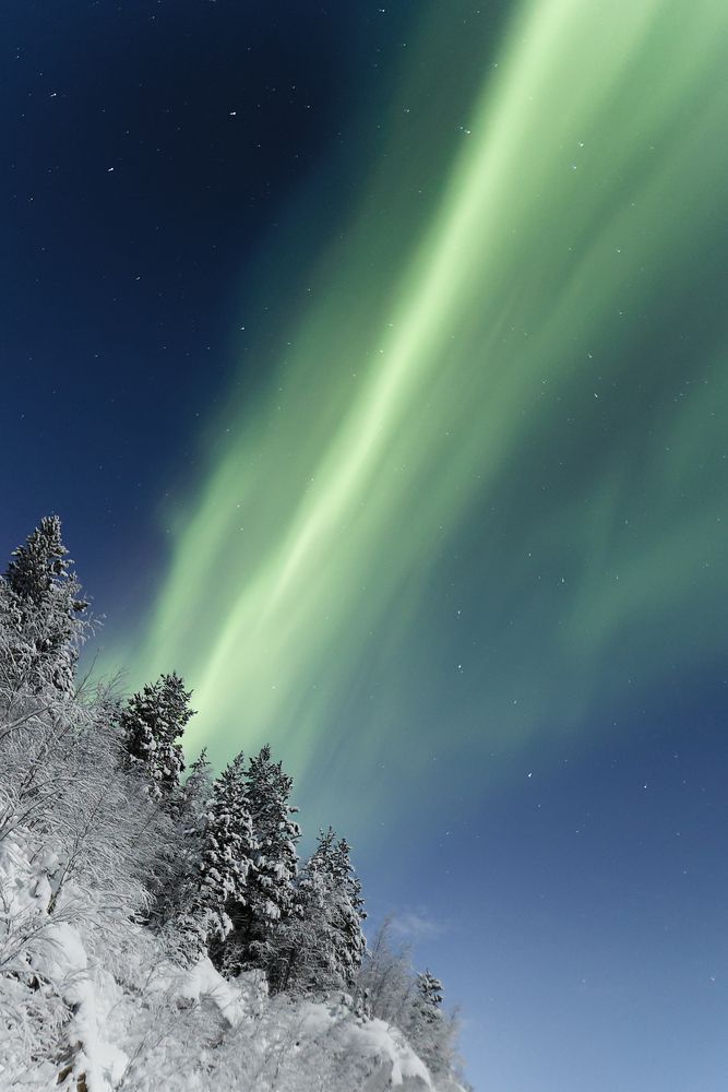 Фотография автора Андрей Русских