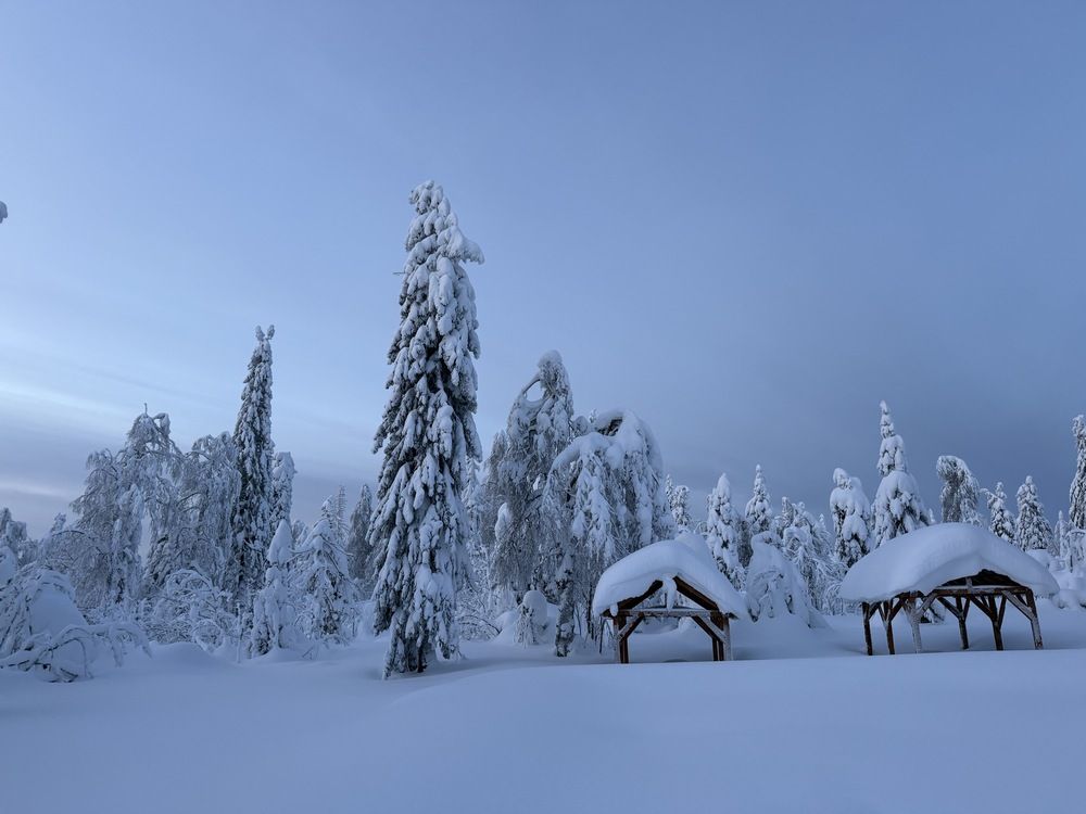 Фотография автора Ольга