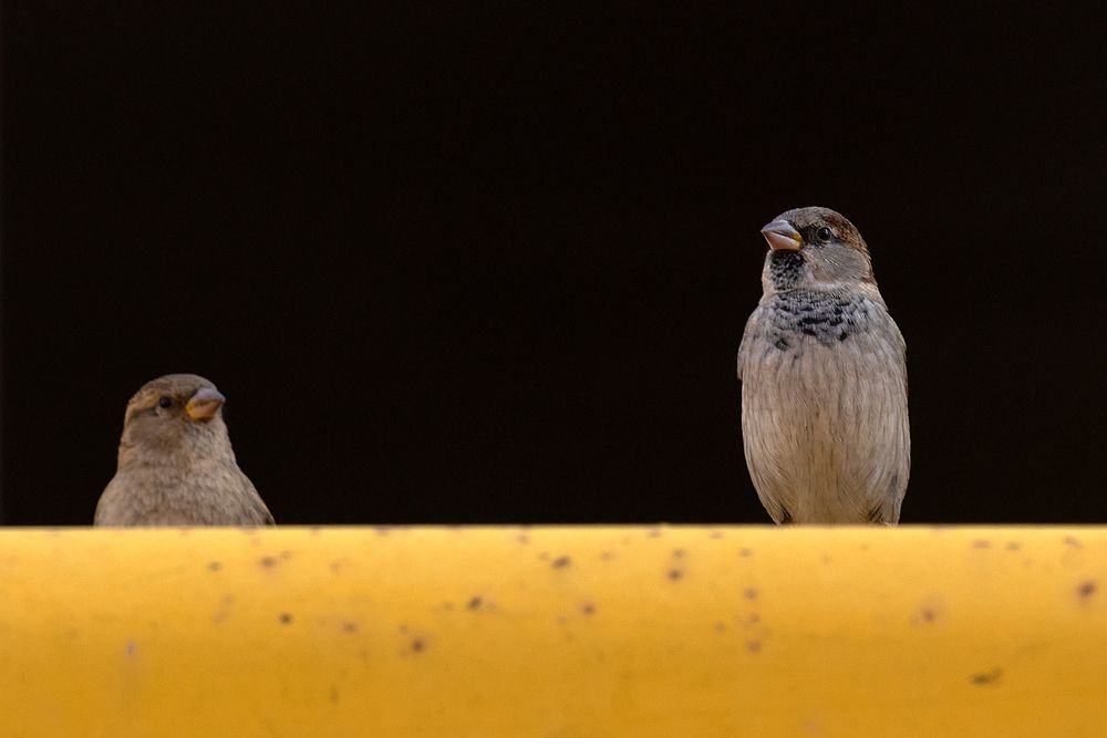 Photograph by Карпович Максим