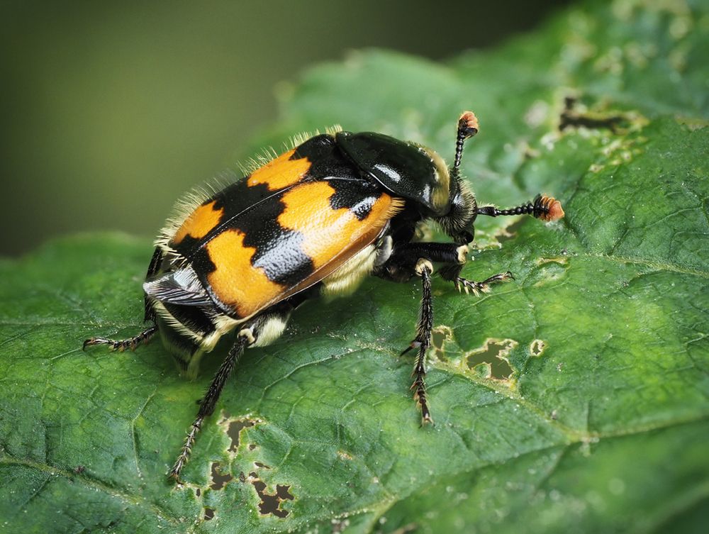 Photograph by Петр Богомазов