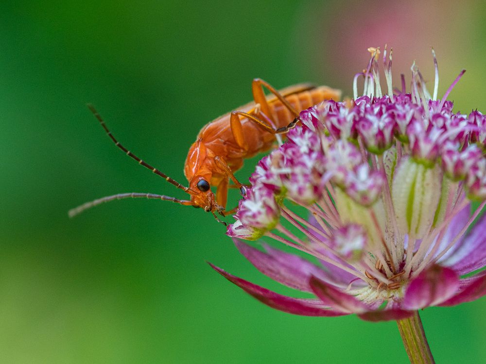 Photograph by Петр Богомазов