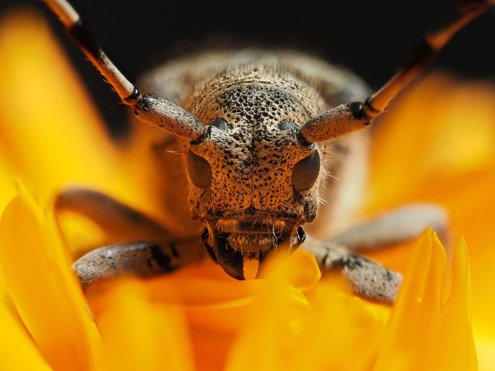 Photograph by Петр Богомазов