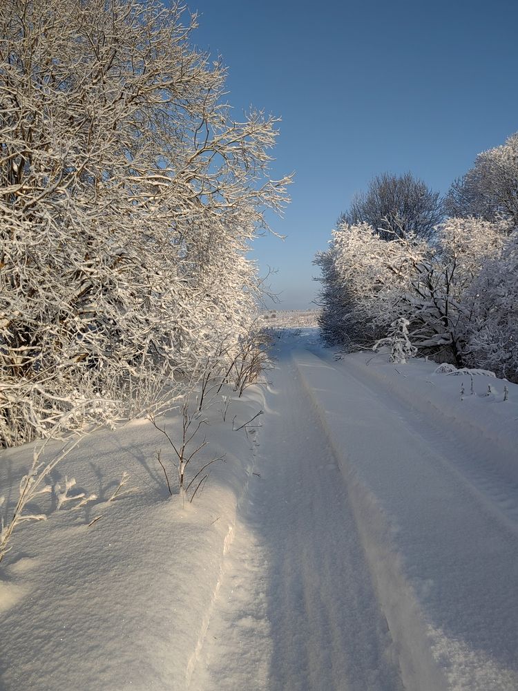 Photograph by Галина Беляева