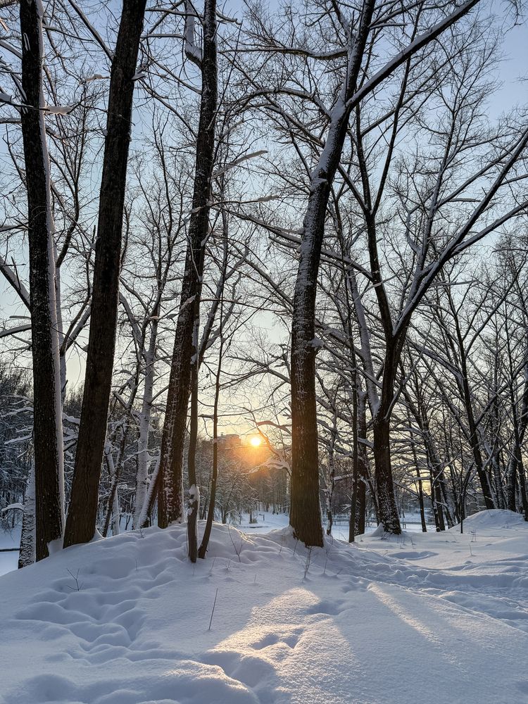 Photograph by Алиса Чугунова