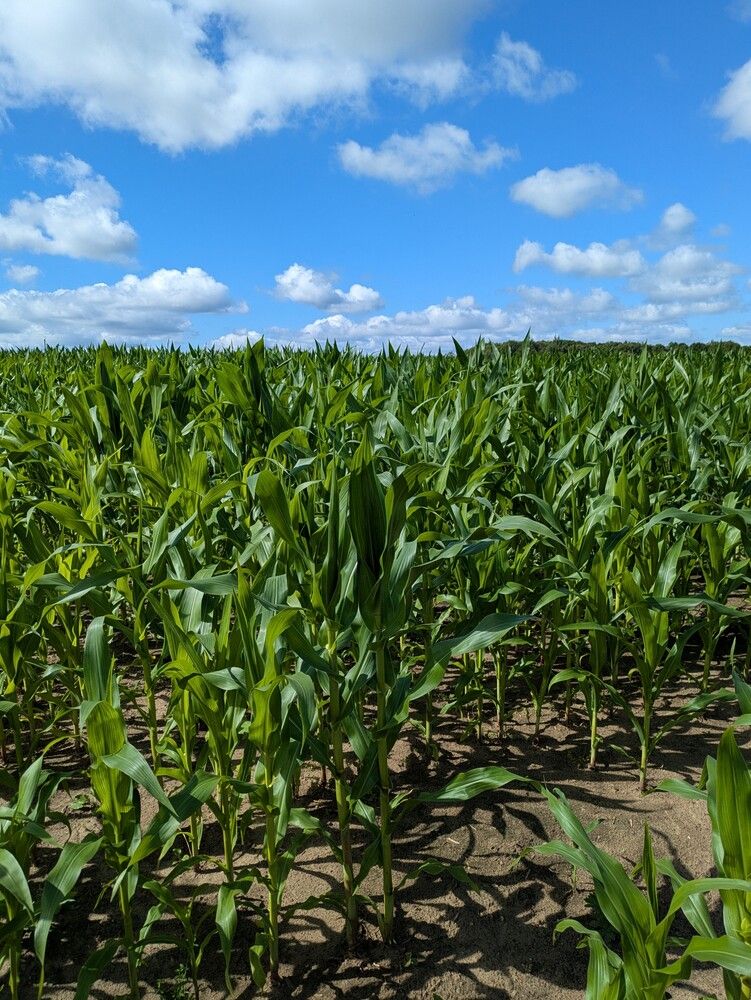 Photograph by Лола Балашова