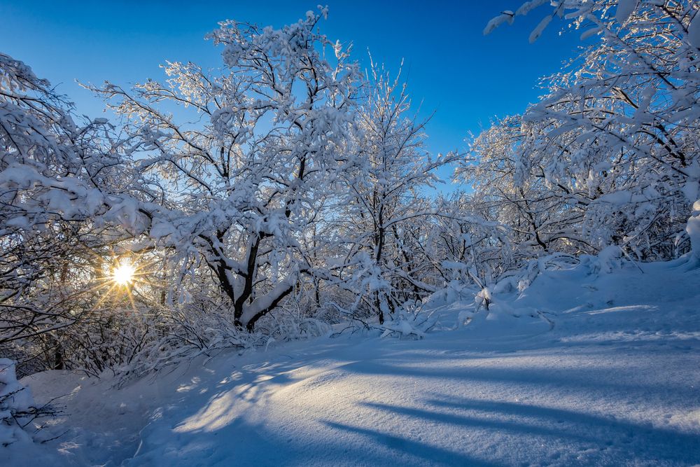 Фотография автора Подосинников Максим