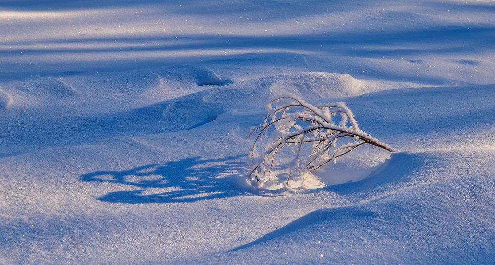 Фотография автора Подосинников Максим