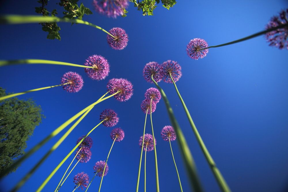 Photograph by ANDREY PERESHEIN