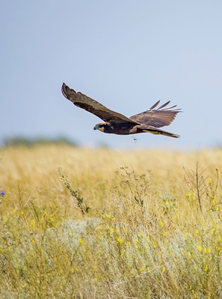 Photograph by Подосинников Максим