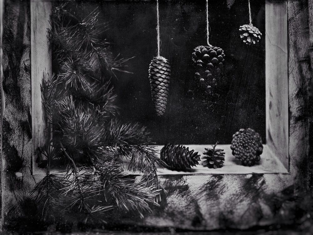 Фотография автора Сергей Теплов