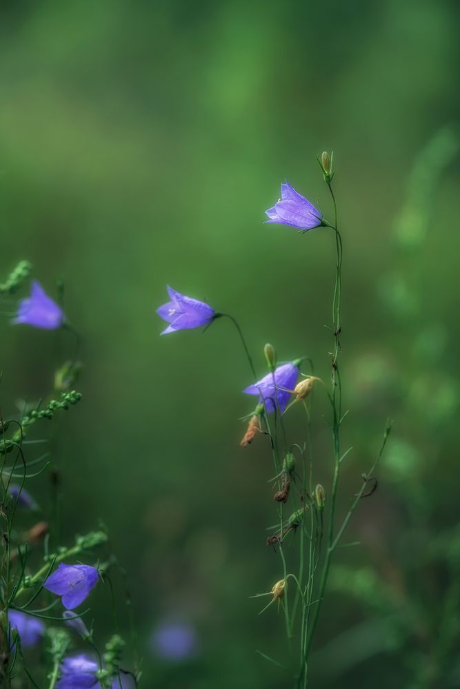 Photograph by Людмила Завьялова