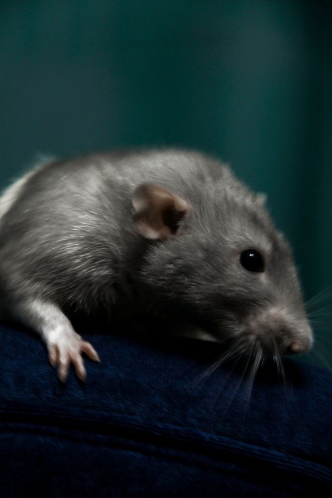 Photograph by Анастасия Псарёва