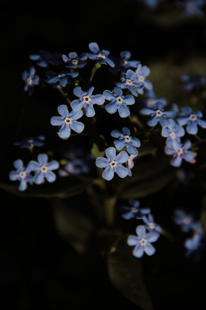 Photograph by Анастасия Псарёва