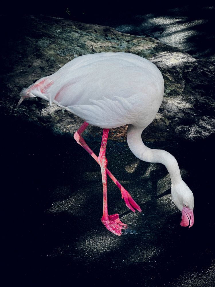 Photograph by Бороздина Мария