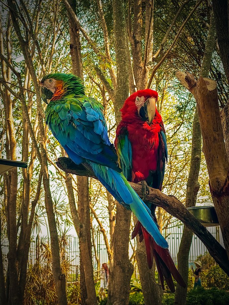 Photograph by Бороздина Мария